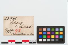 Etiketten zu Bronzegürtelhaken (NHMW-PRAE-023968)